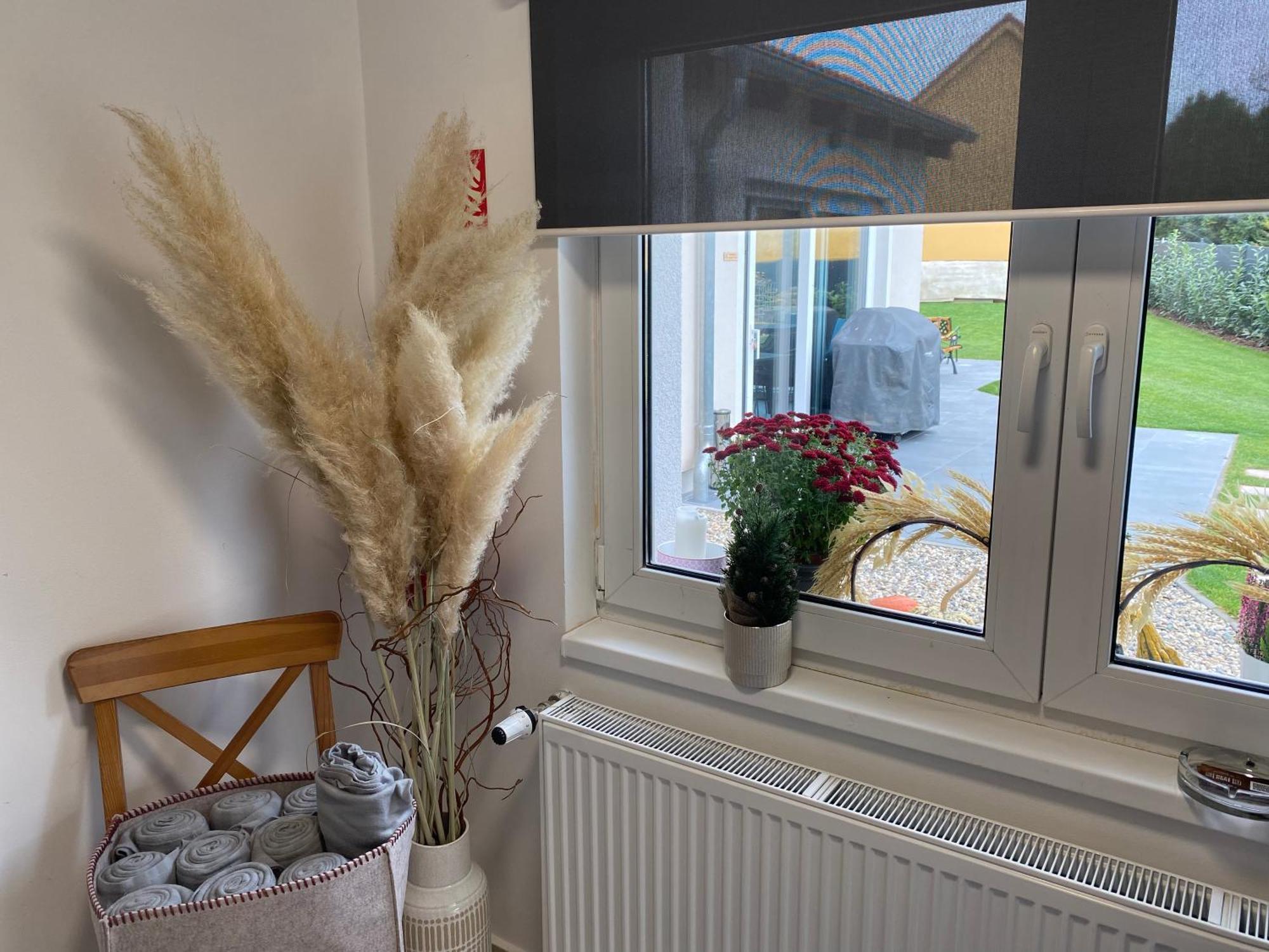 Mezidomi Apartmán Budyne nad Ohri